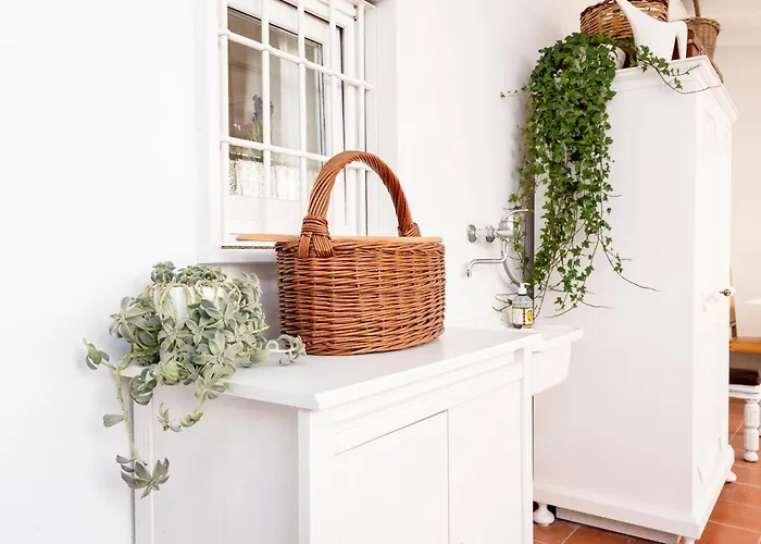 Terrazza Mate Апартаменты Мольфетта