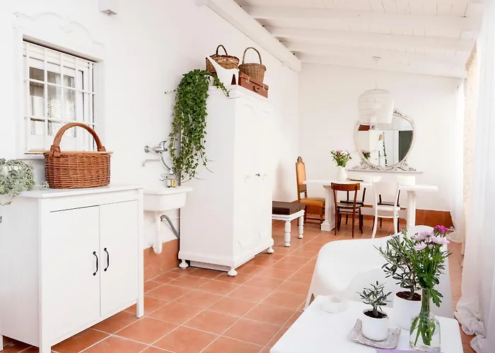 Terrazza Mate モルフェッタ